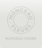 MONCEAU FLEURS イースト21店